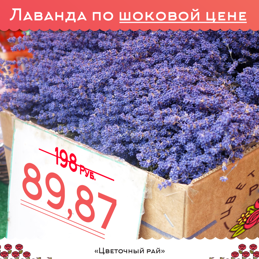 Lavandula dried dark blue (Лаванда) пучок от 89,87 ₽