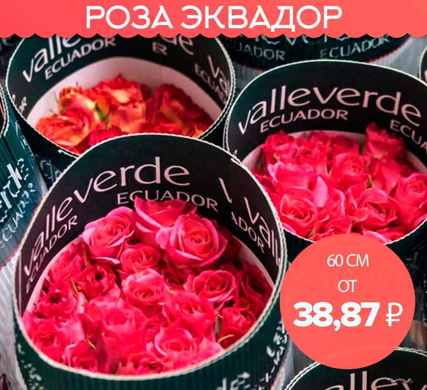 РОЗА ЭКВАДОР 40 см. от 28,87 ₽, 60 см. от 39,87 ₽