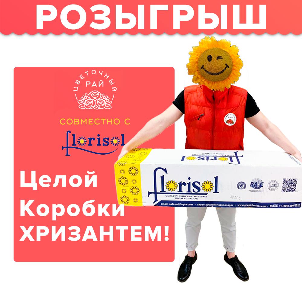 РОЗЫГРЫШ Коробки хризантем