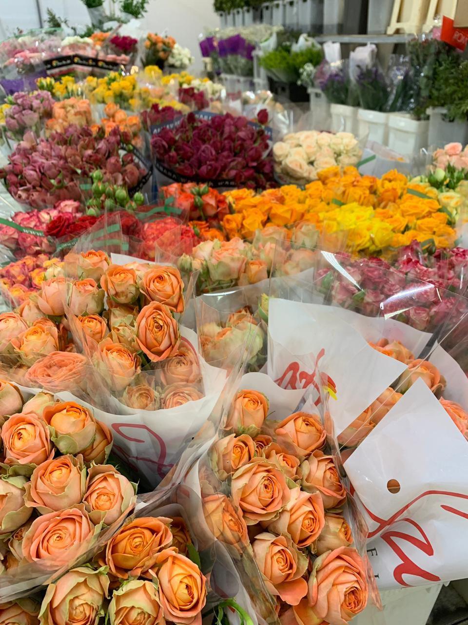 Хризантема куст 29,87 ₽ , Rosa MIX ЭКВ 50 cm 43,87 ₽