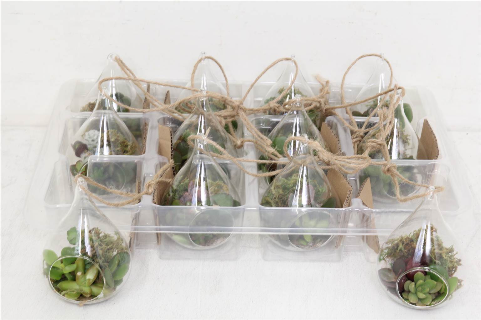 Композиция Pl В Чаше Подвесное Стекло ( Compo Pl In Bowl Hangglas ) W 8 см H 15 см