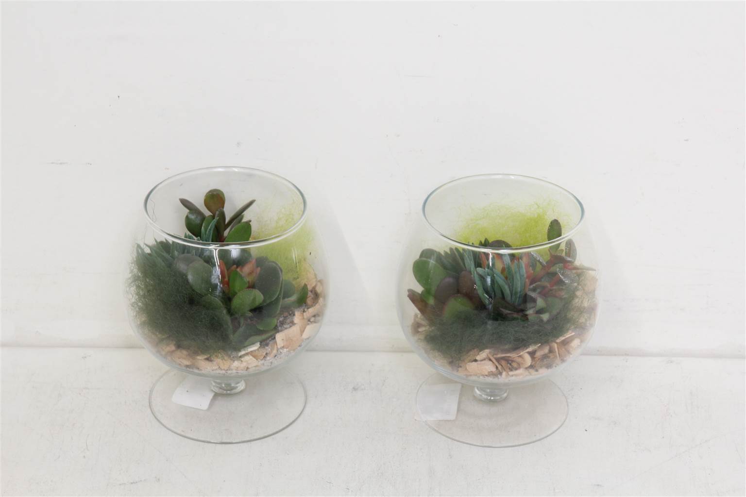 Композиция Налейте В Чашу Коньяк ( Compo Pl In Bowl Cognac ) W 15 см H 20 см