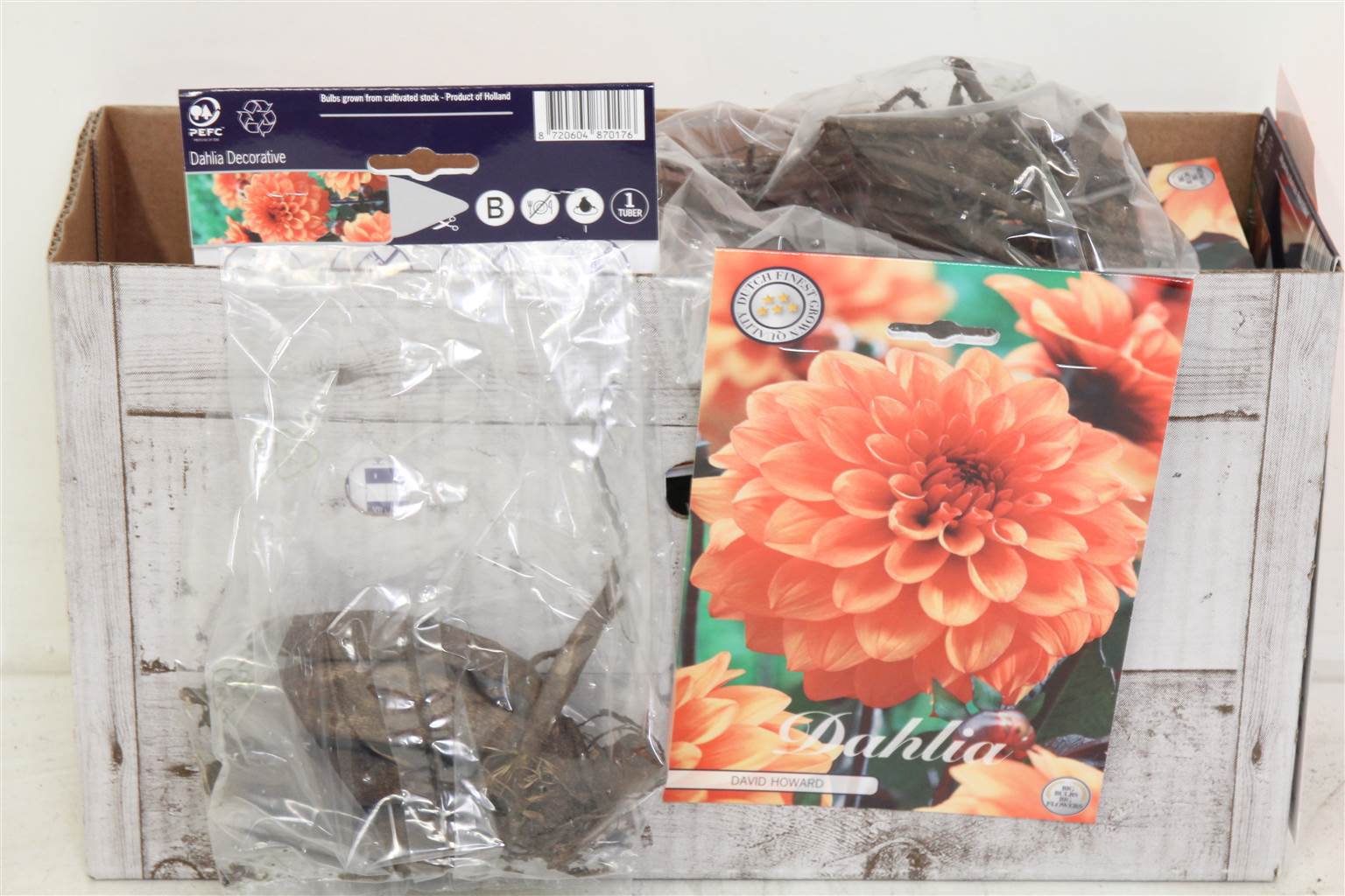 Цветочная луковица Георгин Деко Дэвид Говард X1 ( Flower bulb Dahlia Deco David Howard X1 ) H 20 см