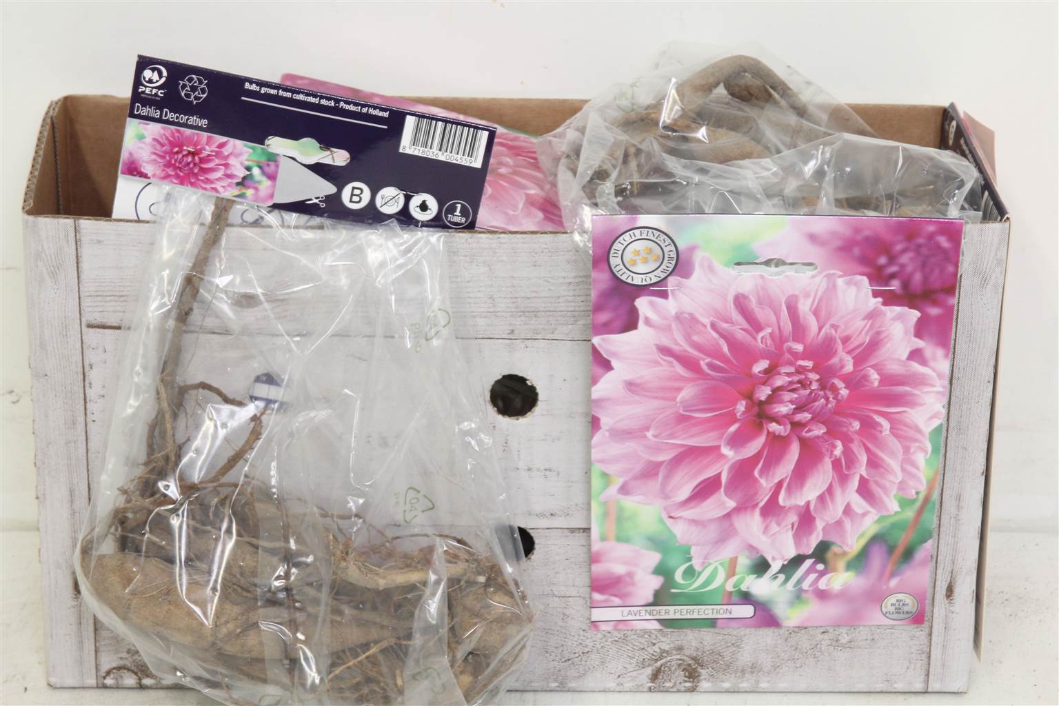 Цветочная луковица Георгин Деко Лавандовое Совершенство X1 ( Flower bulb Dahlia Deco Lavender Perfec