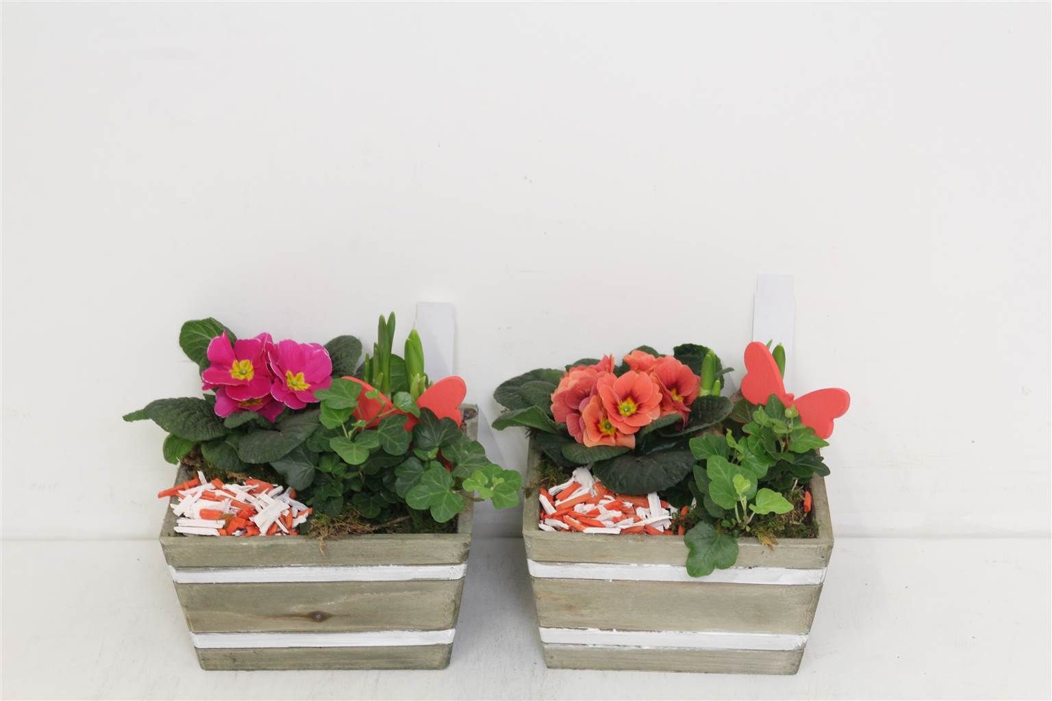 Композиция Садовые растения ( Compo Tuinplanten ) W 18 см H 25 см