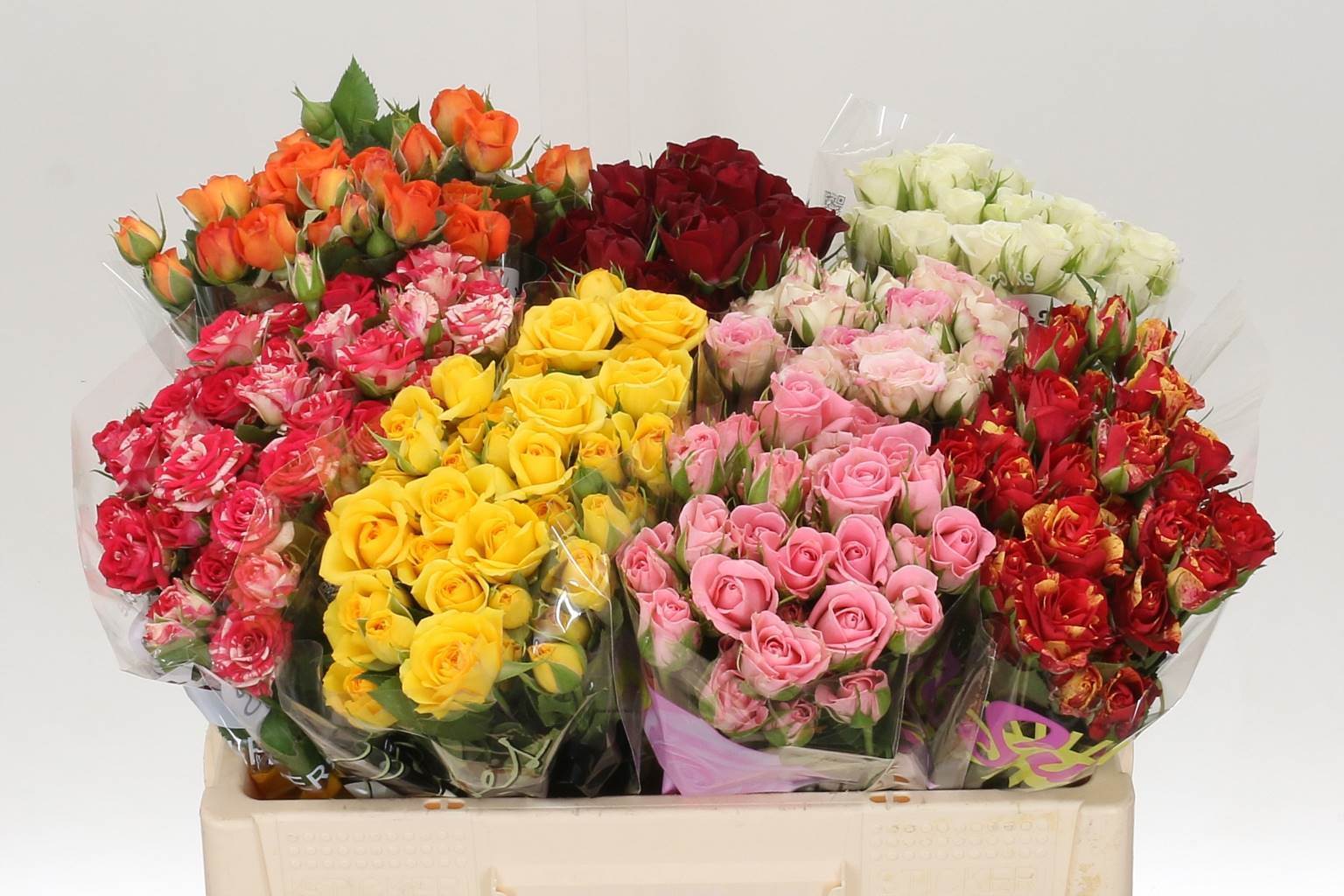Rosa Sprays mix (Роза Спрей Микс) В80