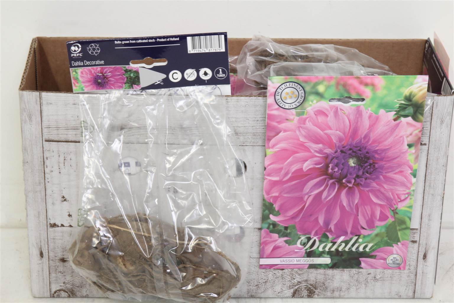 Цветочная луковица Георгин Деко Вассио Меггос X1 ( Flower bulb Dahlia Deco Vassio Meggos X1 ) H 20 с