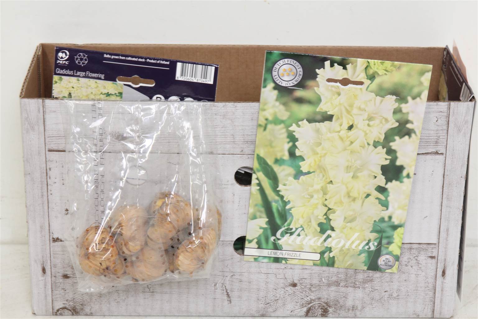 Цветочная луковица Гладиолус Лимонный Завиток X10 ( Flower bulb Gladiolen Lemon Frizzle X10 ) H 20 с