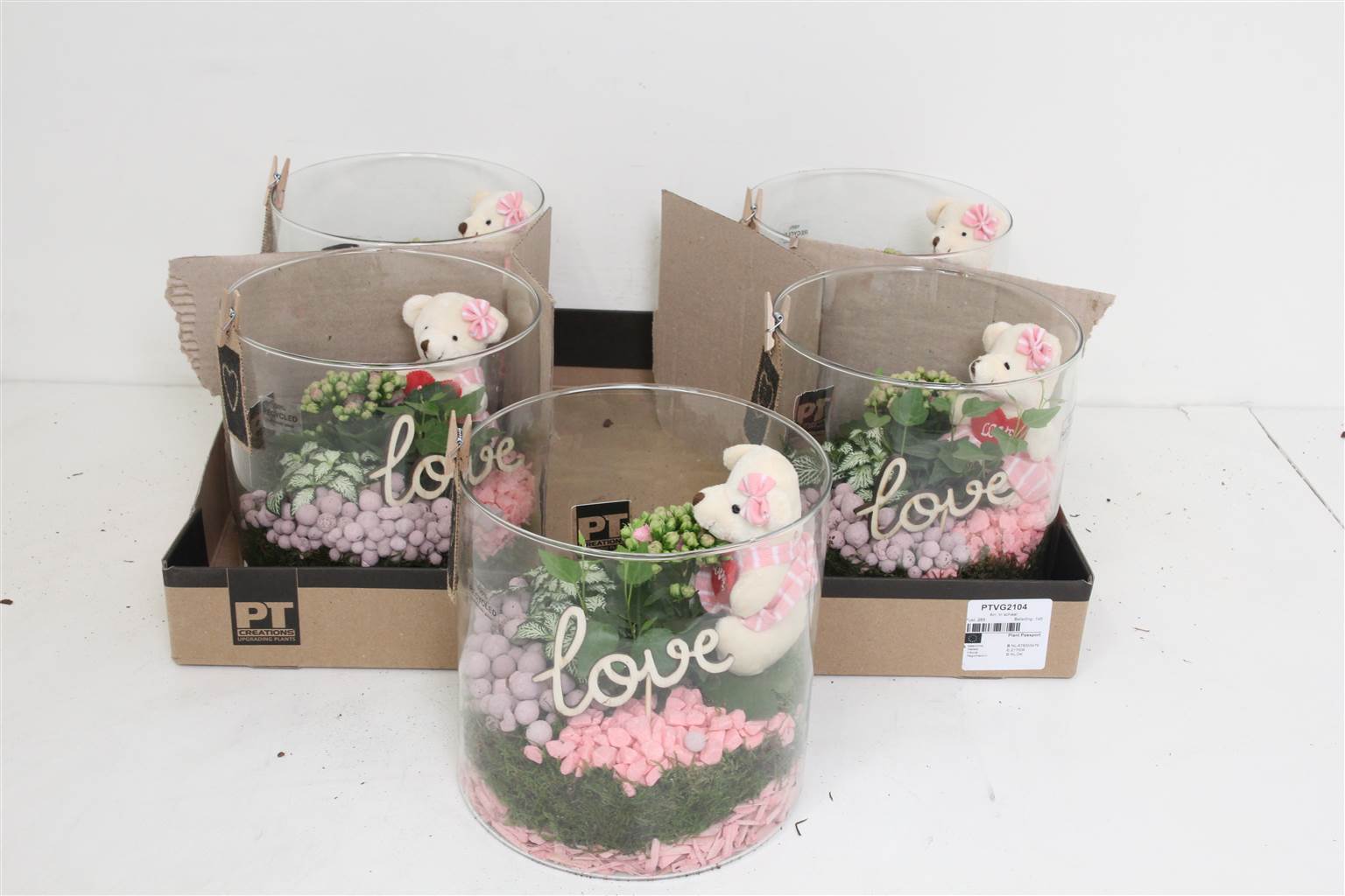 Композиция ( Ptvg2104 Arrangementen Kamerplanten ) W 19 см H 21 см