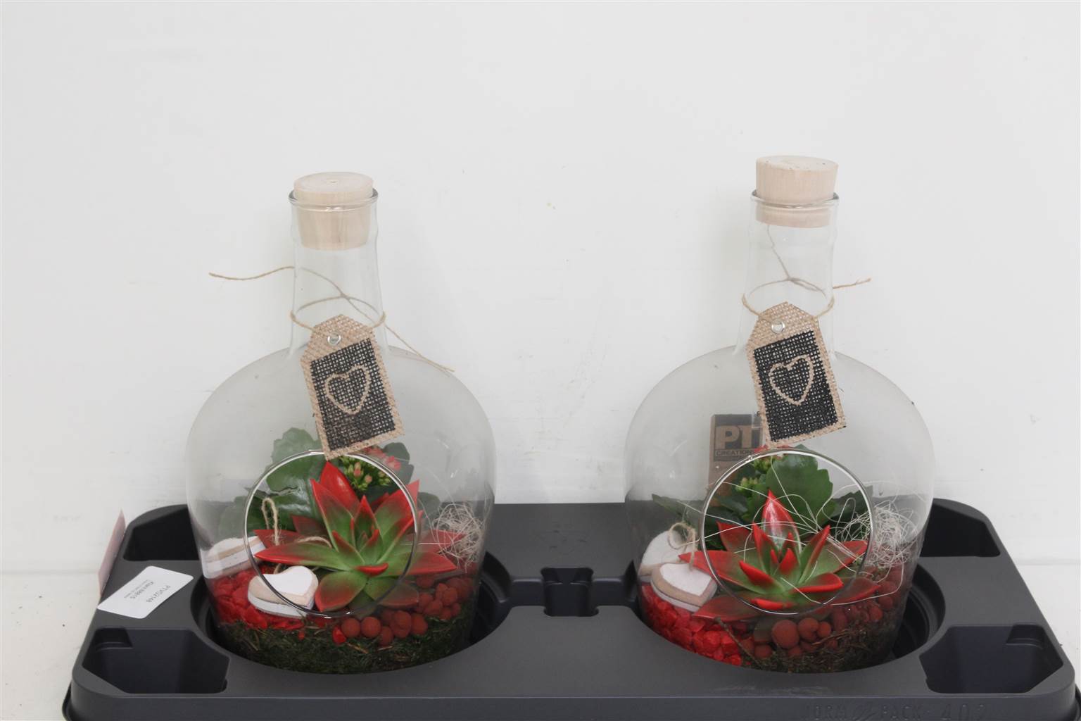 Композиция ( Ptvg2148 Arrangementen Kamerplanten ) W 19 см H 32 см