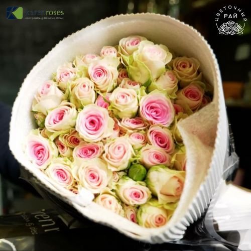Rosa Spray (Роза Спрей) В50 KAREN ROSES
