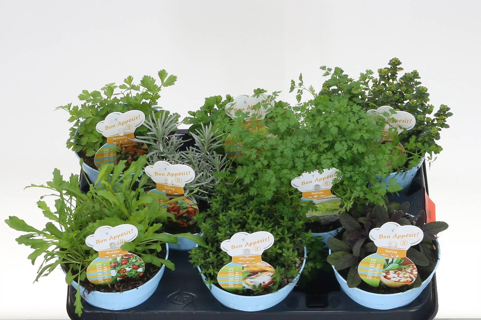 Травы Ов ( Herbs Ov ) W 12 см H 15 см