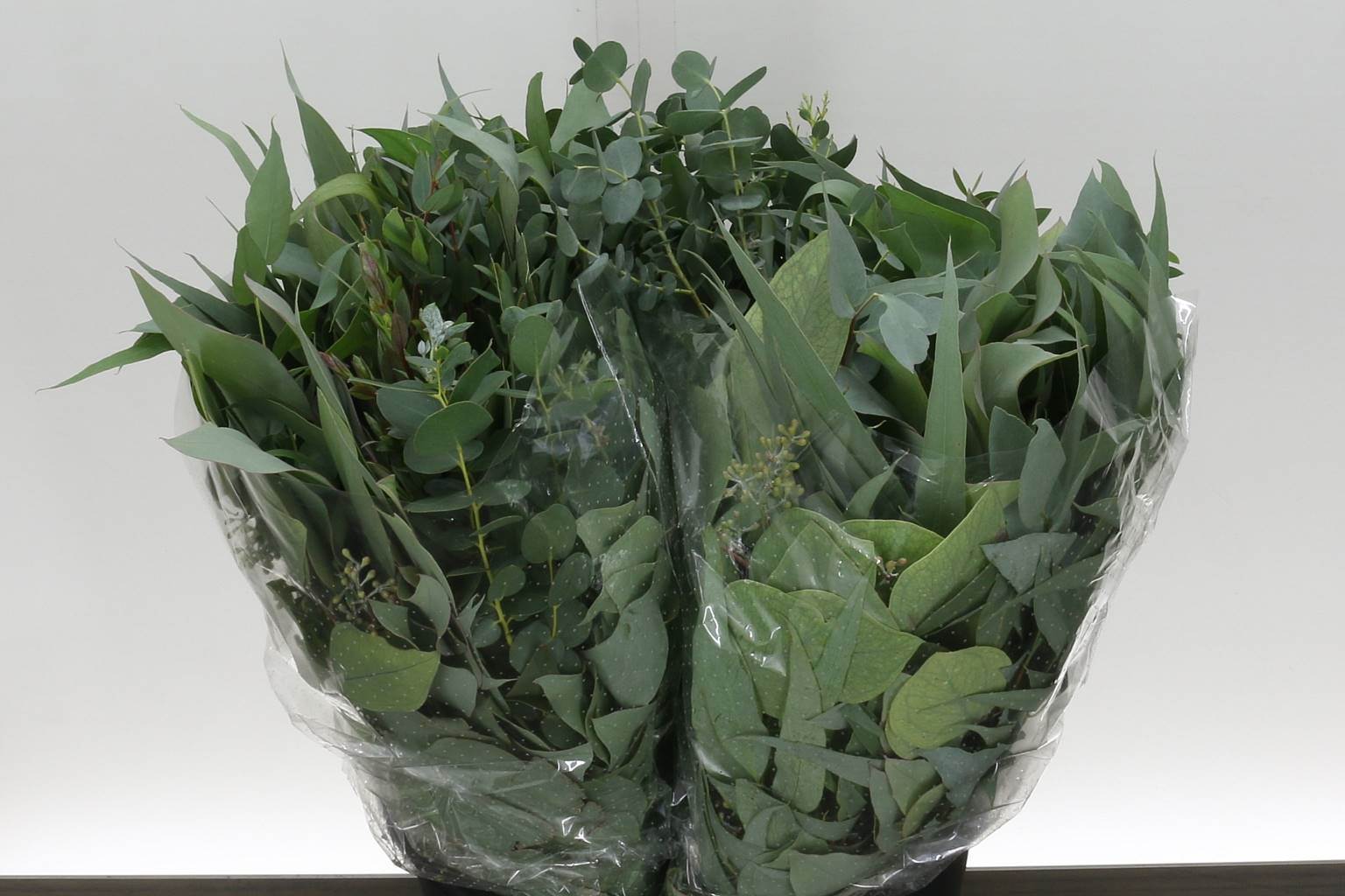 Eucalyptus mix (Эвкалипт Микс) В70