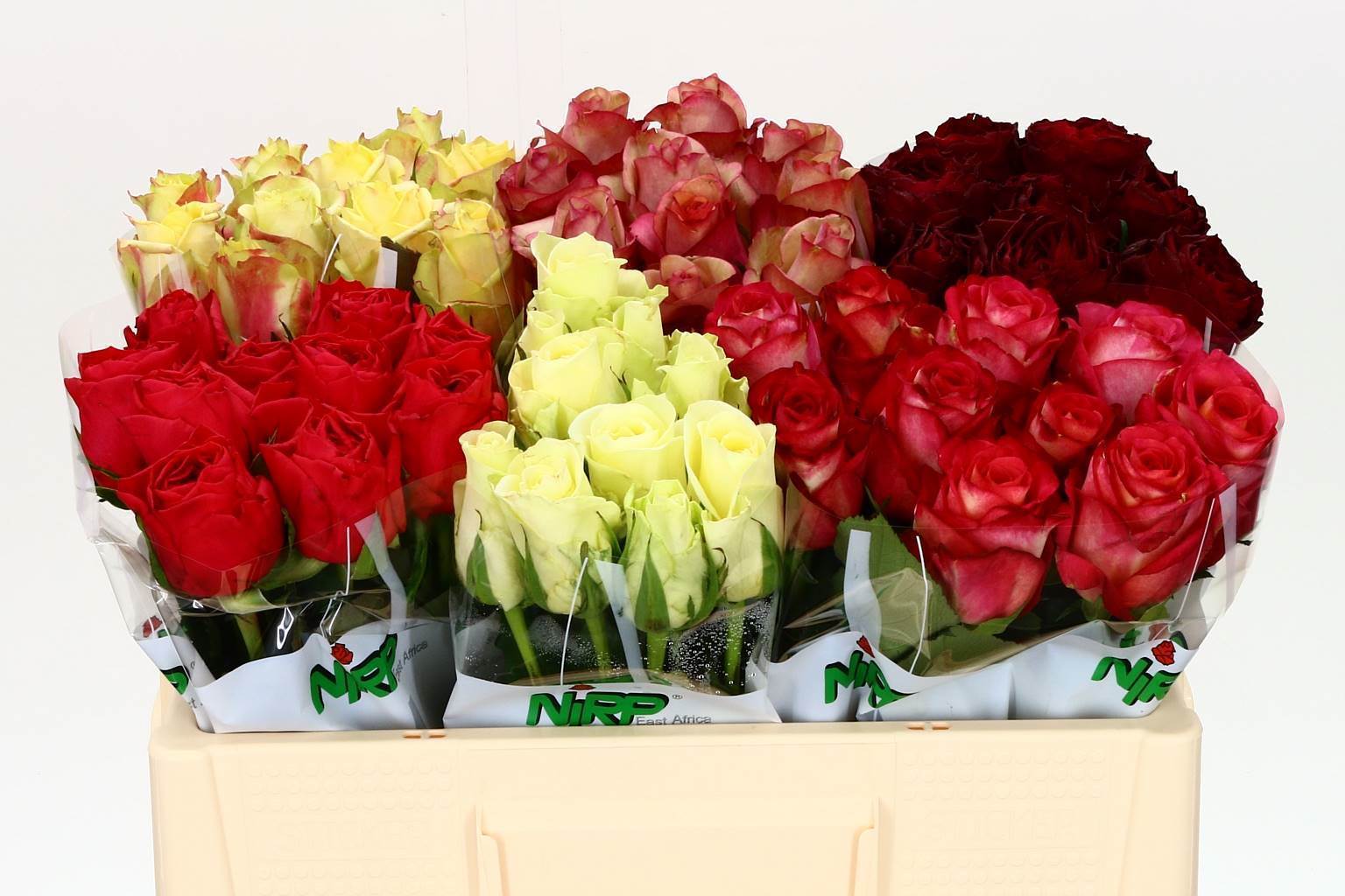 Rosa Gr Mix in bucket(Роза Гр Микс ин Букет) В40