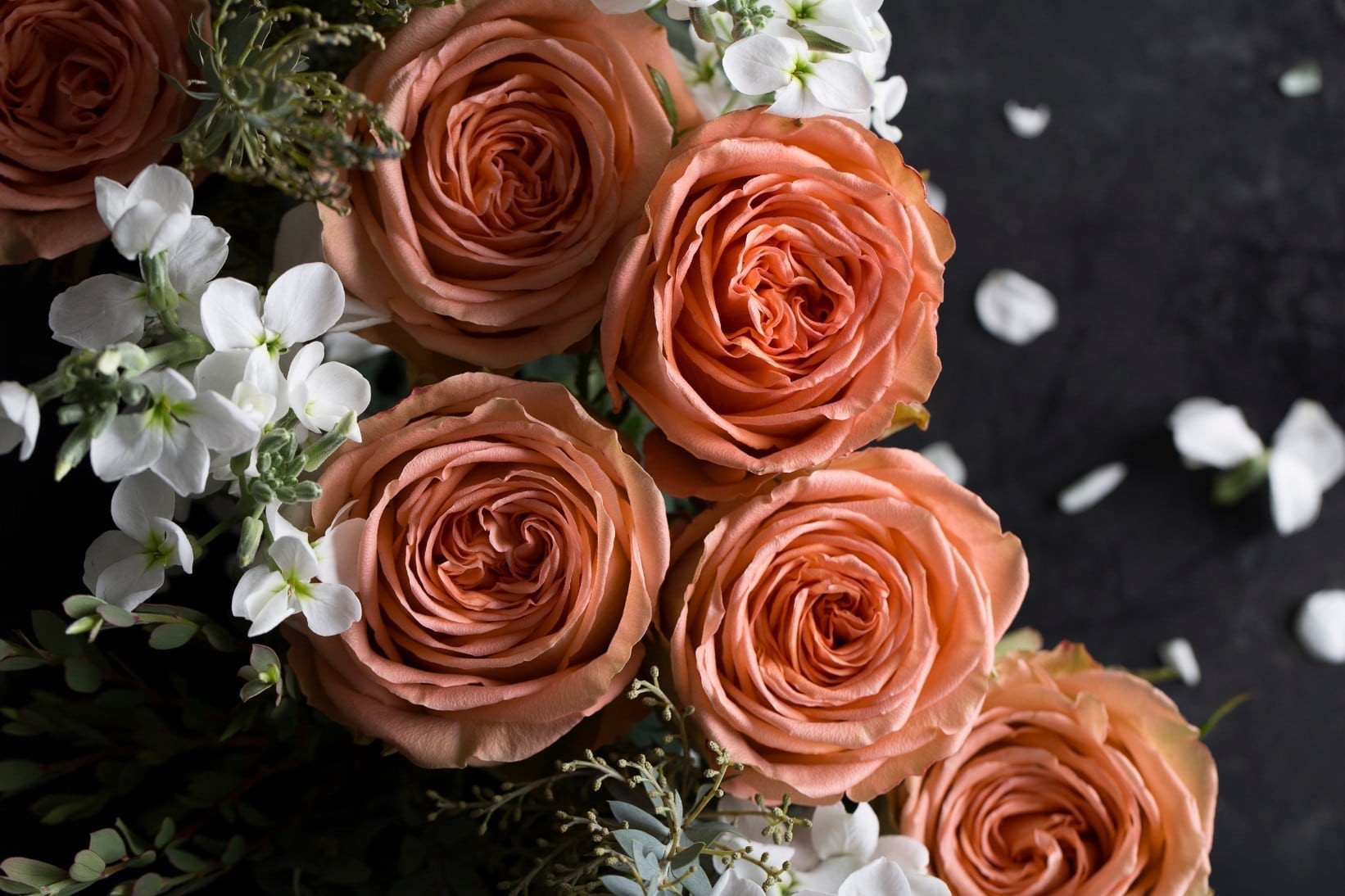 Rosa Gr Country Home ( Коунтри Хом ) В60 Rosa Prima