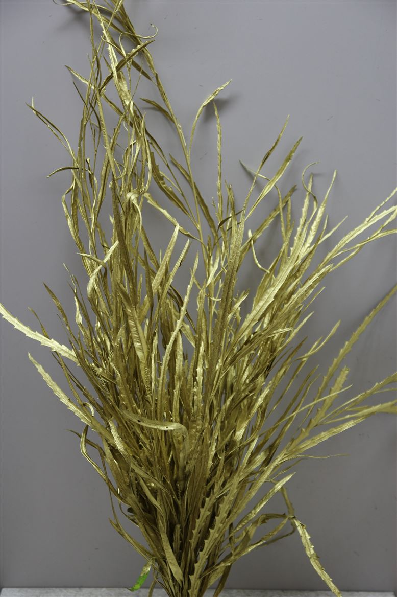 Grevilea Gold (Гривилия Голд) В80