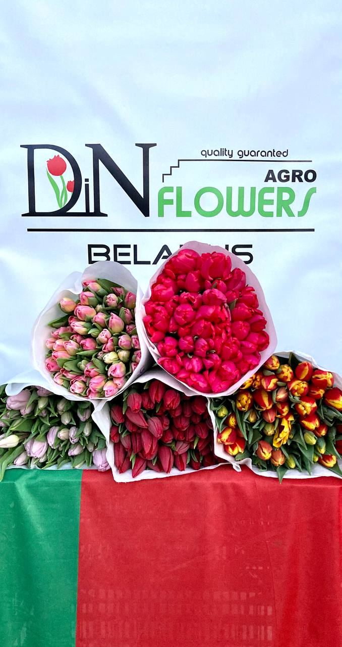Тюльпаны Микс Экстра (Tulips mix Extra) 45 см + пр-ва Белоруссия