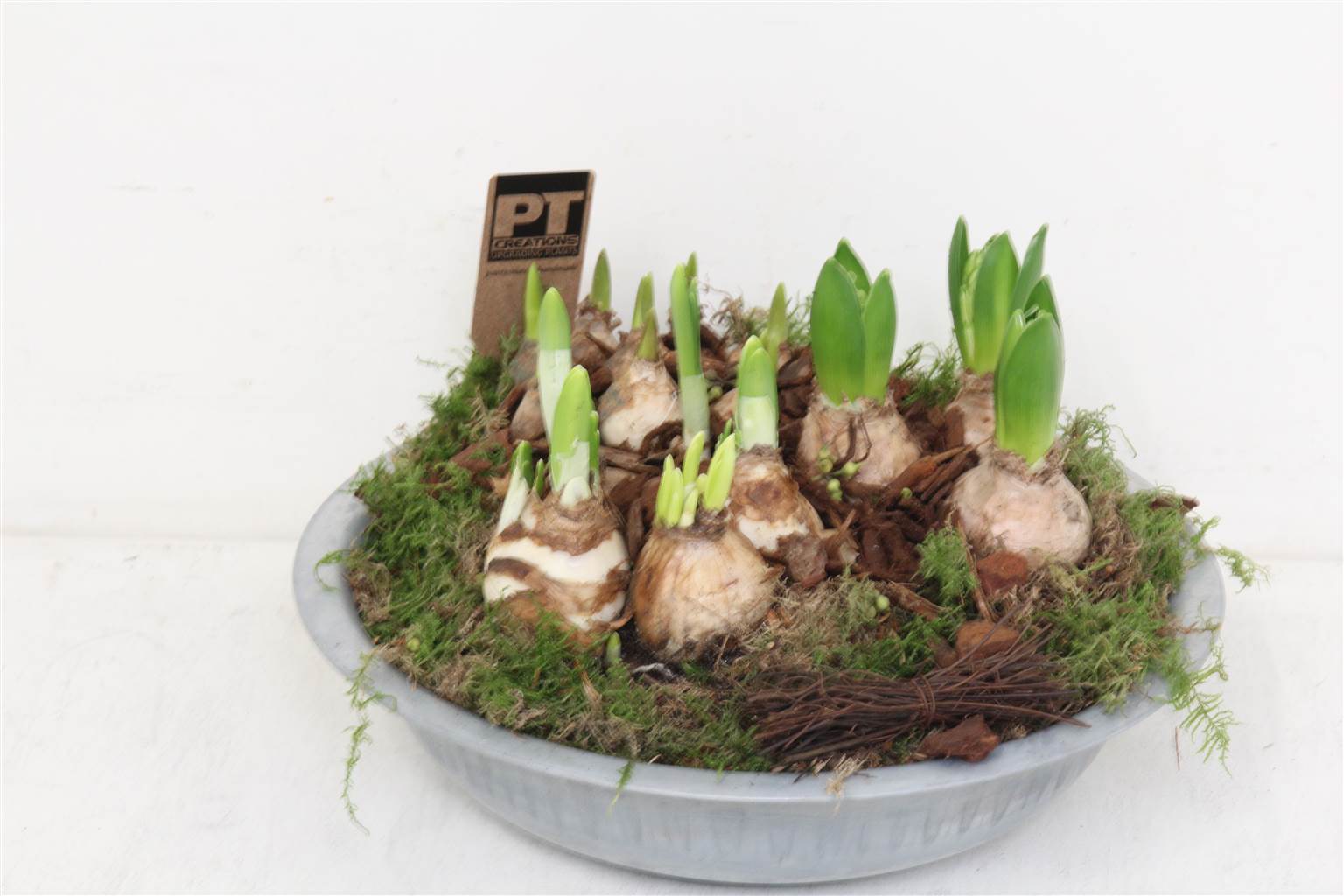 Луковичные Цветы, Смешанные с Цинком ( Bulb Flowers Mixed Zinc ) W 28 см H 15 см