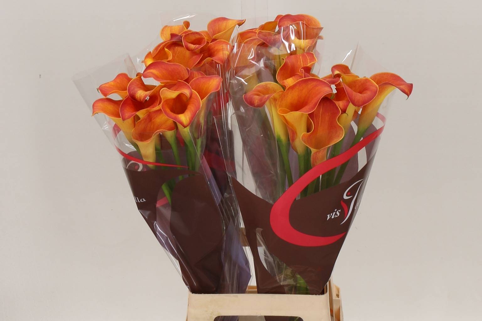 Zantedeschia Capt Trinity Orange (Калла Капитан Тринити Оранж) В70