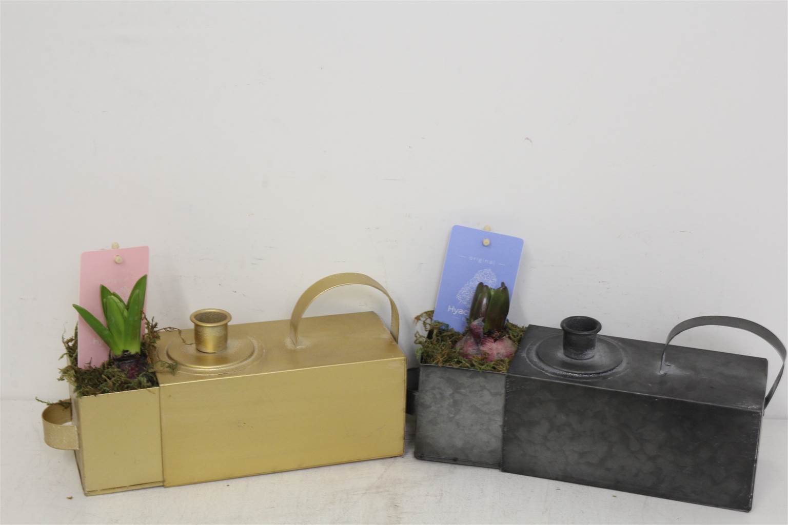 Компо Гиацинт 1500 Свечей Шато # ( Compo Hyacinth 1500 Candle Chateau # ) W 28 см H 16 см