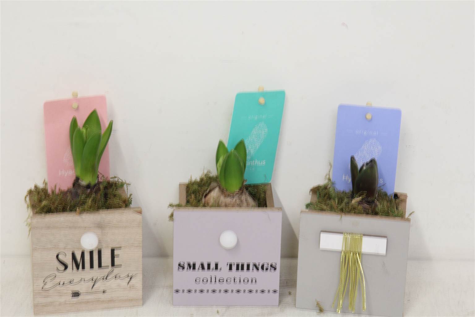 Компо Гиацинт 1808 Мелочи # ( Compo Hyacinth 1808 Small Things # ) W 10 см H 16 см