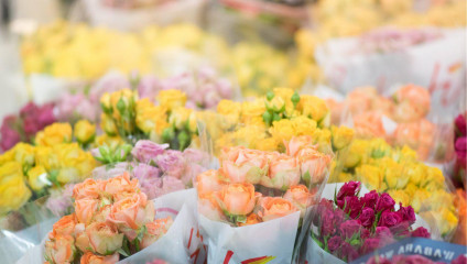 ​Хр-ма кустовая от 23,87 ₽ , Rosa MIX 50 cm 37,87 ₽