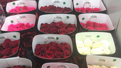 ​Выиграй коробку Розы Эквадор от плантации HAYAT ROSESE