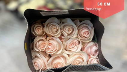 Роза Эквадор 50 см. от 84 ₽, Хризантема от 99 ₽