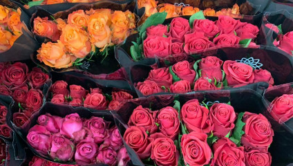 ​Хризантема куст 23,87 ₽ , Rosa MIX ЭКВ 50 cm 43,87 ₽  ⠀