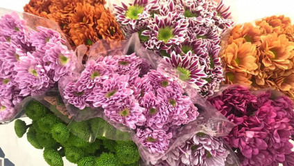 ​Хр-ма кустовая 19,87 ₽ , Пионы L Sara Bernhard 64,87 ₽