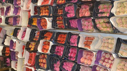 Предложение: Роза ЭКВ. 29,87 ₽, Лилия 99,87 ₽