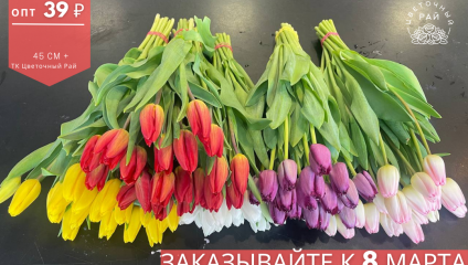 Тюльпаны от 39 ₽ 8 марта 2022 г.