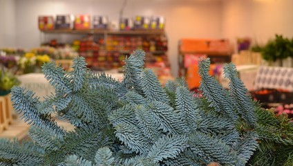 Готовимся к Новому году!