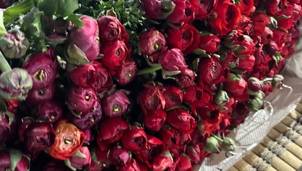 Ранункулюс  из КИТАЯ