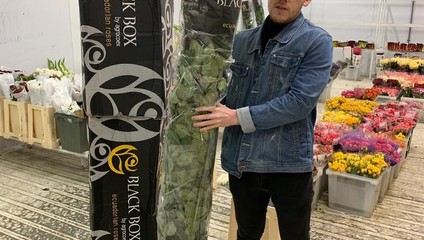 ​Предложение, РОЗА ЭКВАДОР 170 см. от 279,87 ₽