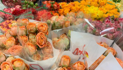 ​Хризантема куст 29,87 ₽ , Rosa MIX ЭКВ 50 cm 43,87 ₽