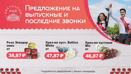 Хризантема от 46,87 ₽, Роза Эквадор от 38,87 ₽