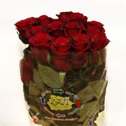 Rose Finally (Роза Файналли) B60 Piaveri