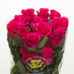 Rose Pink Floyd (Роза Пинк Флойд) B40 Royal Flowers