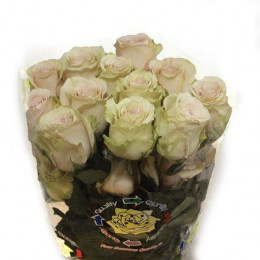 Rose Pompei (Роза Помпеи) B40 Piaveri