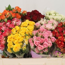 Rosa Spray Kenya Mix (Роза Спрей Кения микс) В50