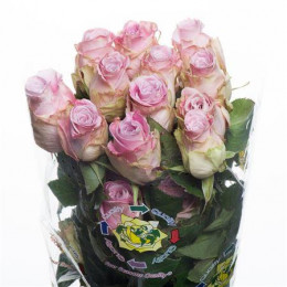 Rosa Faith (Роза Фэитх) В50