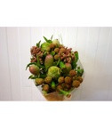 Kaaps groen cone mix(Каапс гроен коне Микс)В40