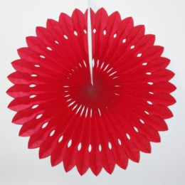 Бумажный диск Красный (12''/30 см)