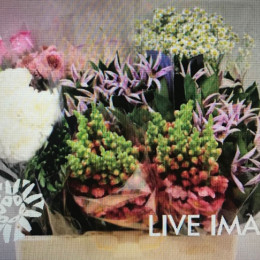 Mix winterflowers(Микс винтерфлаверс)В60