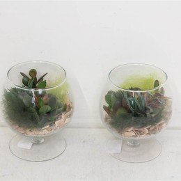 Композиция Налейте В Чашу Коньяк ( Compo Pl In Bowl Cognac ) W 15 см H 20 см