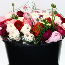 Ranunculus Klooni Mixed (Ранункулюс Клуни Миксд) В40