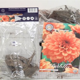 Цветочная луковица Георгин Деко Дэвид Говард X1 ( Flower bulb Dahlia Deco David Howard X1 ) H 20 см