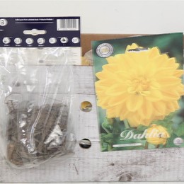 Цветочная луковица Георгин Деко Золотая Эмблема X1 ( Flower bulb Dahlia Deco Golden Emblem X1 ) H 20