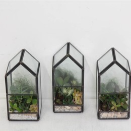 Композиция Pl В Чаше Kasje Mini ( Compo Pl In Bowl Kasje Mini ) W 8 см H 18 см